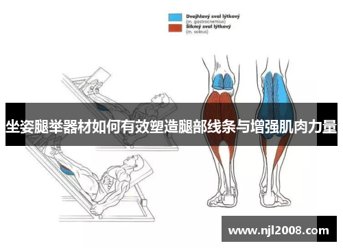 坐姿腿举器材如何有效塑造腿部线条与增强肌肉力量