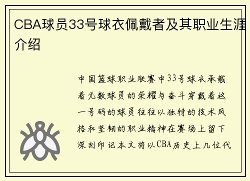 CBA球员33号球衣佩戴者及其职业生涯介绍